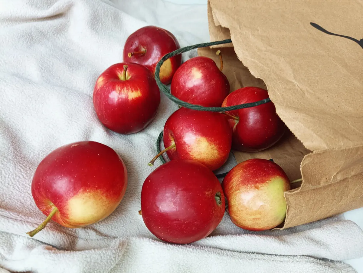 Paper Bag vs Cotton Bag vs Bowl: Which Ripening Method Works Best?
